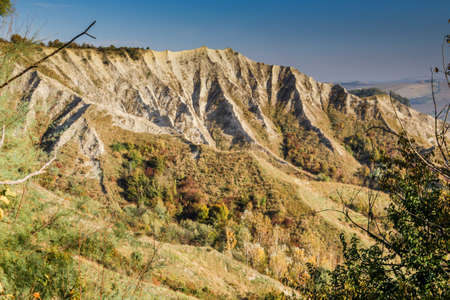 Cultivated fields of red and green leaves Vineyards during Autumn  on badlands background in Italian countryside near Brisighella in Emilia Romagnaの写真素材