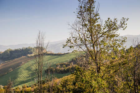 Cultivated fields of red and green leaves Vineyards during Autumn  on badlands background in Italian countryside near Brisighella in Emilia Romagnaの写真素材