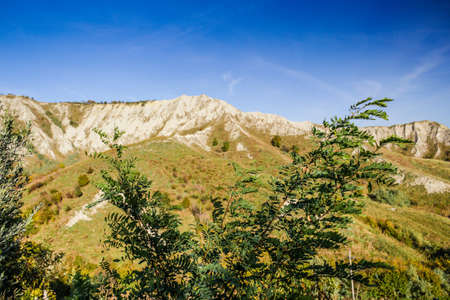 Generic vegetation and trees in cultivated fields under the gray-silvery ridge of chalk badlands background in Italian countryside near Brisighella in Emilia Romagnaの写真素材