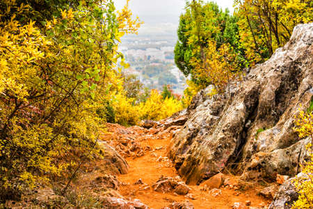 Footpath in Autumn View of the Krizevac (Cross) Mountain in Medjugorje in Bosnia ed Erzegovina: brownish trees, green weeds, orange and yellow leaves and grey rocksの写真素材