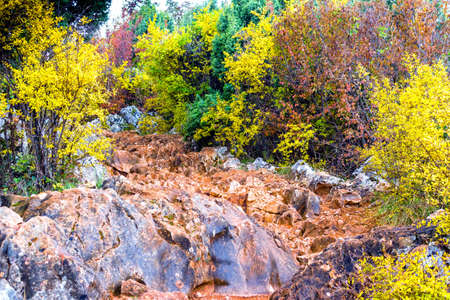 Footpath in Autumn View of the Krizevac (Cross) Mountain in Medjugorje in Bosnia ed Erzegovina: brownish trees, green weeds, orange and yellow leaves and grey rocksの写真素材