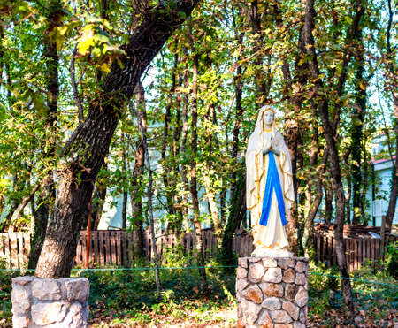 Statue of the Blessed Virgin Mary among ivy covered trees. Green weeds and grey rocks in a garden of Medjugorjeの写真素材