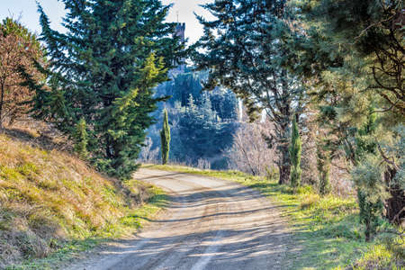 Dirt road, lined by cypress trees in the hills of cultivated fields  in a winter sunny day. Road is...