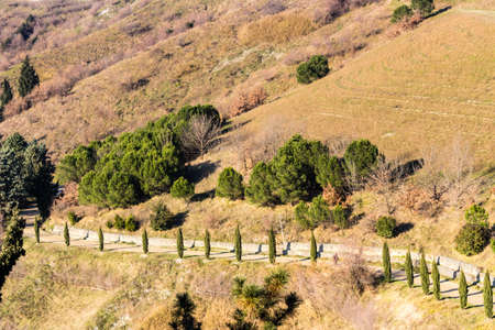 Dirt road, lined by cypress trees in the hills of cultivated fields in a winter sunny day.の写真素材