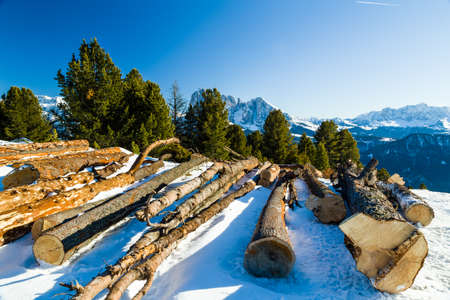 Sawn tree trunks in the snow in front of a panorama of snowy peaks on a bright sunny day in winter in Dolomites Alpsの写真素材