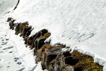 Xoxoxo meaning Hugs And Kisses, written in capital letters on frozen white snow while brown weeds and moss in the foregroundの写真素材