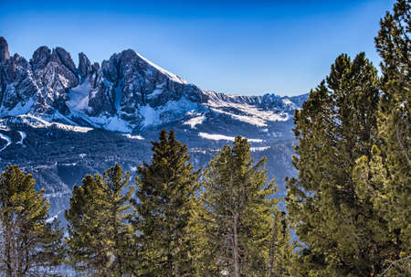 panorama of the Dolomites with snow-capped peaks and conifersの写真素材