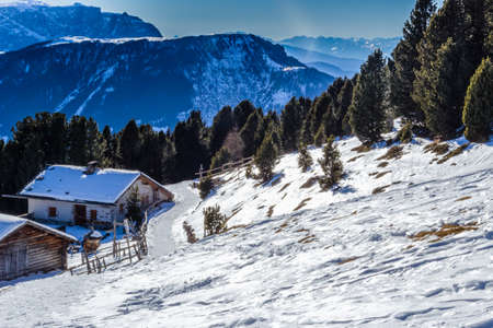 panorama of the Dolomites with wood cottage,  snow-capped peaks and green conifersの写真素材