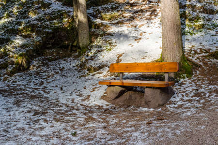 Wood and rock bench in a forest of green pines and firs on Dolomites snowy mountains in winterの写真素材