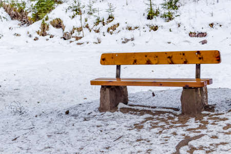 Wood and rock bench in a forest of green pines and firs on Dolomites snowy mountains in winter