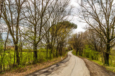 The serenity of a country road that disappears into the horizon in the middle of cultivated fields during springの写真素材