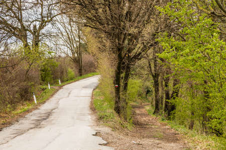 The serenity of a country road that disappears into the horizon in the middle of cultivated fields during springの写真素材