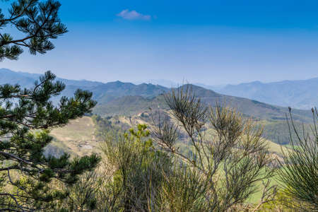 Green farmland cultivated on the rolling hills of the countryside in northern Italyの写真素材