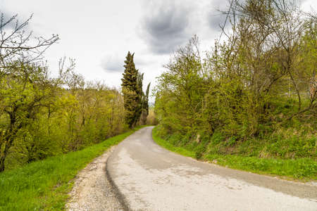 The serenity of a country road that disappears into the horizon in the middle of cultivated fields during springの写真素材