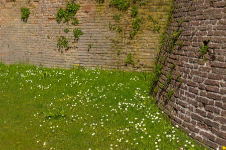 green grass and ancient brick wall of military fortification of 1400 in Northern Italy in Emilia Romagna, in the centre of the small old country village of Riolo Terme.の写真素材