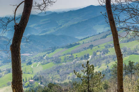 Green farmland cultivated on the rolling hills of the countryside in northern Italyの写真素材