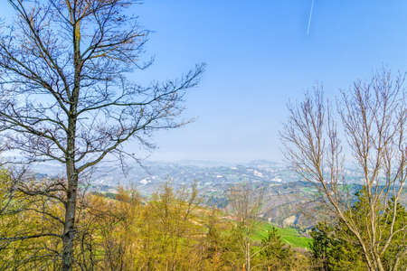 Green farmland cultivated on the rolling hills of the countryside in northern Italyの写真素材