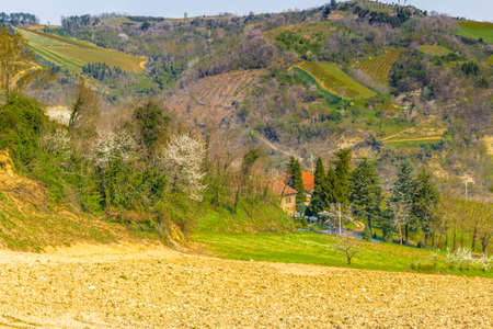 Green farmland cultivated on the rolling hills of the countryside in northern Italy