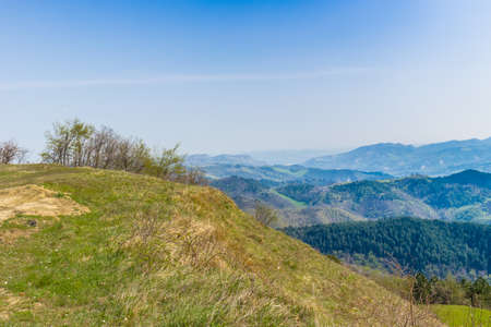 Green farmland cultivated on the rolling hills of the countryside in northern Italyの写真素材