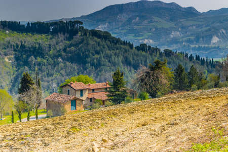 Green farmland cultivated on the rolling hills of the countryside in northern Italyの写真素材