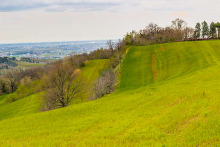 Green farmland cultivated on the rolling hills of the countryside in northern Italy