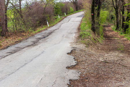 Country road through green farmland cultivated on the rolling hills of the countryside in northern Italyの写真素材