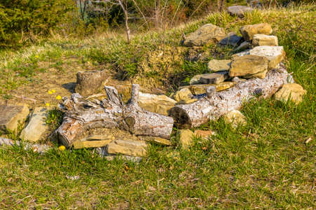 Rock and trunk benchの写真素材