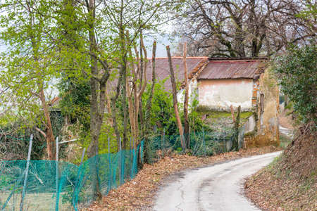 Country road through green farmland cultivated on the rolling hills of the countryside in northern Italyの写真素材