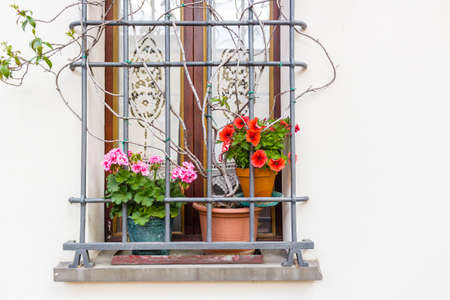 window with iron grating and flower pots: red and fuchsia geraniumの写真素材