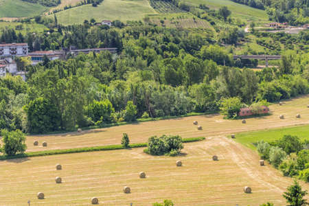 yellow round bales of hay spread in cultivated fields now mown in the Italian countryside and red and fuchsia flowersの写真素材