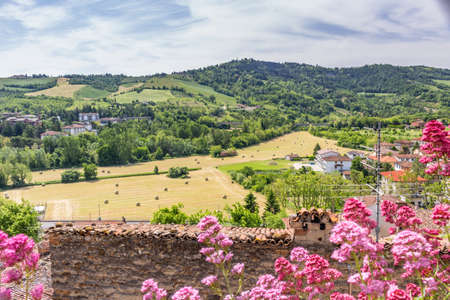 yellow round bales of hay spread in cultivated fields now mown in the Italian countryside and red and fuchsia flowersの写真素材