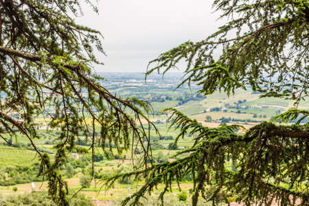 nature and memories - view through branches from the terrace of the medieval village of bertinoro in Italy overlooking the hills of the Romagna countryside sloping down to the seaの写真素材