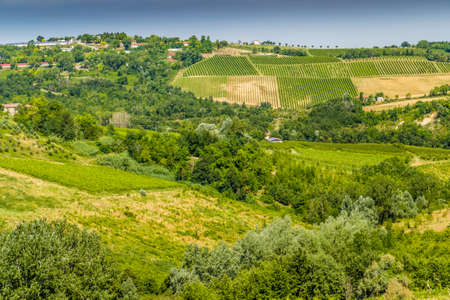 The vibrant colors of Agricultural cultivated fields in Italy during the springの写真素材