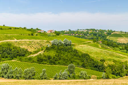 The vibrant colors of Agricultural cultivated fields in Italy during the springの写真素材