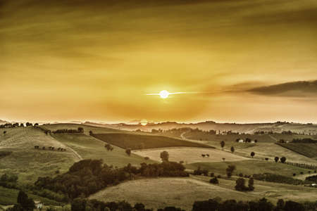 sunset on vineyards and farmland in the quiet hilly countryside
