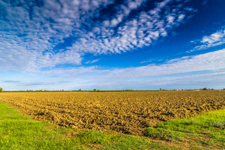 plowed and tilled field with bare clods of earth in the Italian countrysideの写真素材