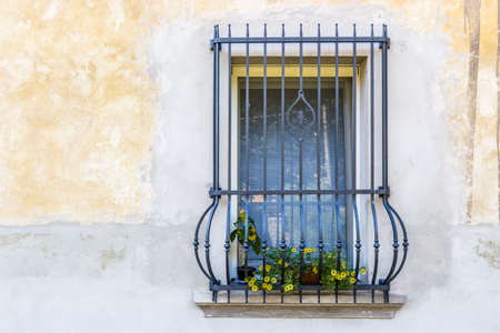 window with vintage black railings and pots of yellow flowers, a little sunflower and some calibrachoa million bellsの写真素材