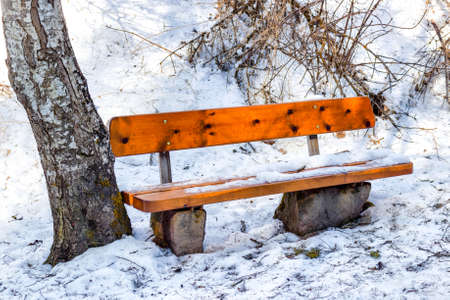 Wood and rock bench in a forest of green pines and firs on Dolomites snowy mountains in winterの写真素材