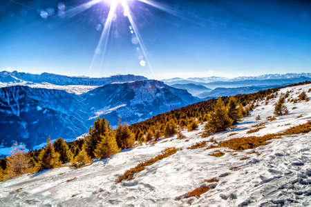 White snowy Dolomites mountains with rocks, snow-capped peaks and green conifers in winterの写真素材
