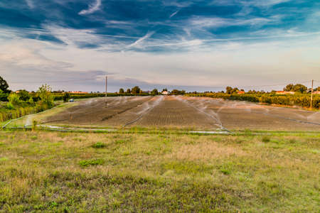 Irrigation of plowed and sown agricultural field with sprinklersの写真素材
