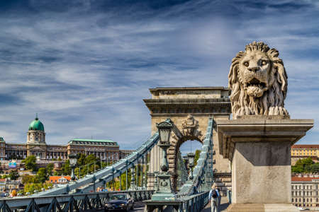 Lion on Chain Bridge on the Danube River in Budapest, Hungaryの写真素材
