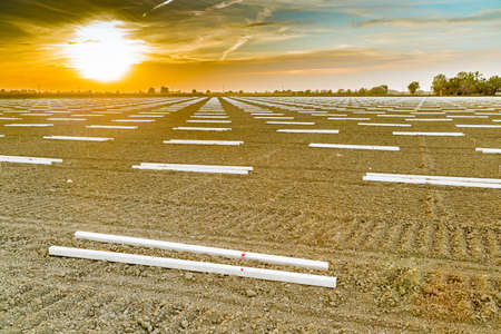 efficiency and effectiveness in modern agriculture, geometric designs of the support poles for the...