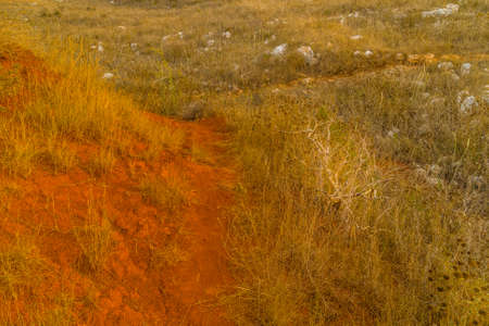 red soils around the freshwater lake formed in a former quarry for the extraction of bauxite in Italyの写真素材