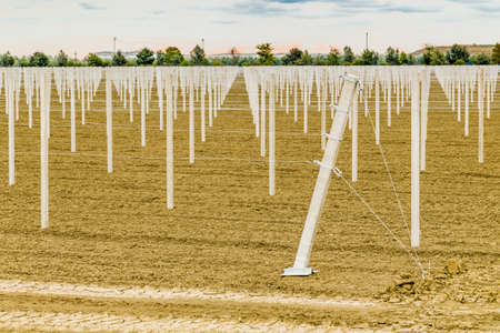 rows of precast concrete white poles driven into the ground to support the fruit trees in plowed fields in modern agricultureの写真素材