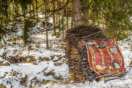 stack of twigs covered with a red cloth in a  snowy conifer forestの写真素材