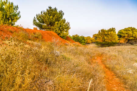 red soils around the freshwater lake formed in a former quarry for the extraction of bauxite in...
