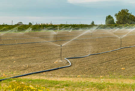 Irrigation of plowed and sown agricultural field with sprinklersの写真素材