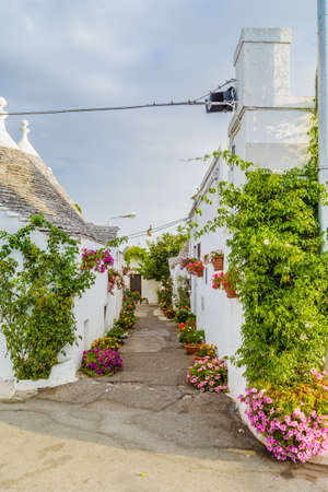 The Trulli of Alberobello in Apulia in Italy. These typical houses with dry stone walls and conical roofs are unique to the world and projecting this place outside of time and reality, somewhere between magic and historyの写真素材