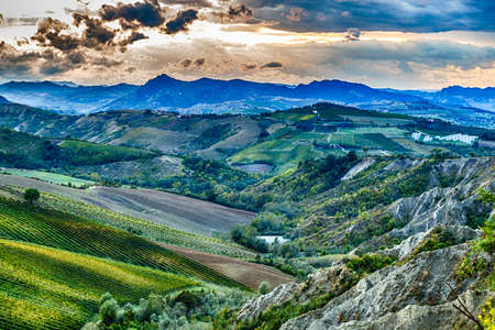 Green rolling hills covered with vineyards and other crops in Italyの写真素材