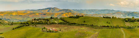 Green rolling hills covered with vineyards and other crops in Italyの写真素材